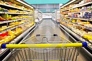 Cart at the Grocery Store