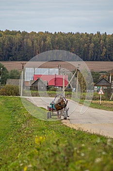 A cart with a horse in a Russian village.