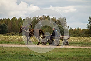 A cart with a horse in a Russian village.