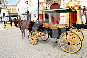 Cart and horse in Seville, Spain