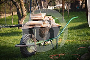 Cart loaded with larch logs ideal for fire. Hand work with axe and saw in the garden. The life of a woodcutter