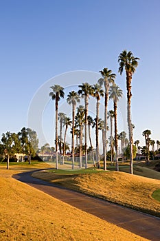 Cart Path and Tee at Golf Course