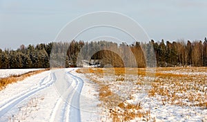 A cart road through snowy field in wintertime