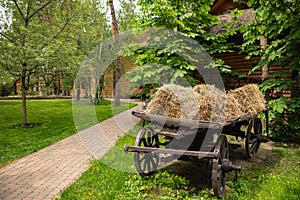 Cart of Ukrainians of the 19th century