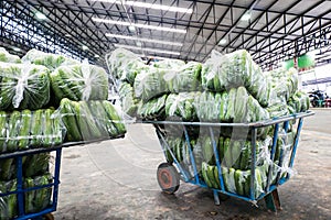 Cart use for wholesale vegetable market.