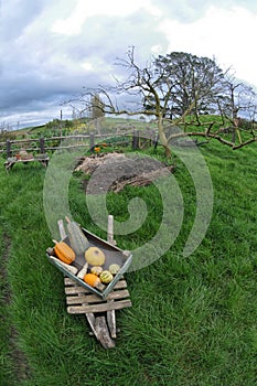 Cart with Vegetable