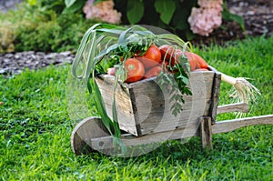 Cart with vegetables on a background of green grass