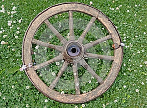 Cart-wheel. Wheel from the trolley. Wooden old with iron rusty rim.