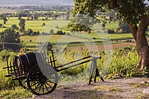 Cart with a wine keg