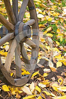 Cart wooden wheel