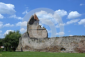 Carta Cistercian Church