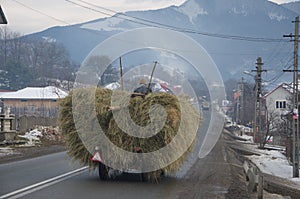 Carter with hay on the road in Bucovina