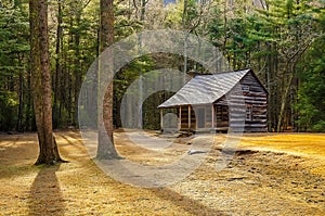 Carter Shields Cabin, Great Smoky Mountains