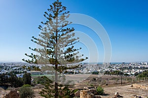 Carthage, great city of antiquity on the north coast of Africa, now a residential suburb of the city of Tunis, Tunisia