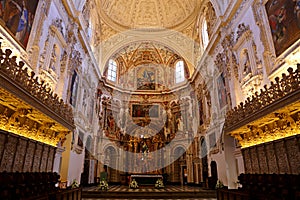 The Carthusian monastery church of the Assumption of Our Lady Monasterio de la Cartuja , Granada,