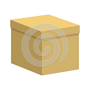 Carton box with a closed lid