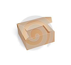 Carton Box with Open Top Empty Package Vector