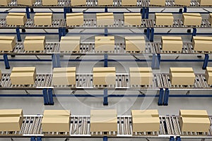 Carton boxes on conveyor belt