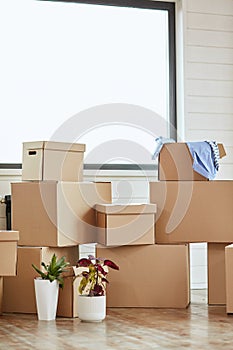 Carton boxes with personal belongings household stuff in modern living room on moving day