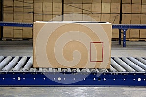 Carton on conveyor