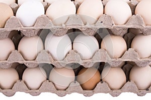 Carton of Eggs