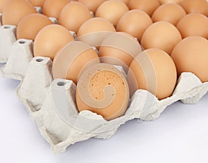 Carton of fresh brown eggs