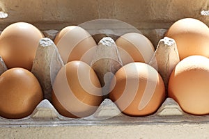 Carton of Fresh Brown Eggs