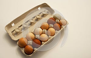 Carton of Fresh Free Range Eggs with Light and Dark Colors