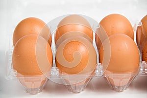 Carton of fresh free range eggs on a white background.