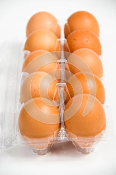 Carton of fresh free range eggs on a white background.