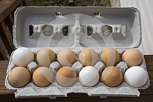 Carton Full Of Mixed Colored Organic Eggs