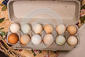 Carton of multicolored eggs