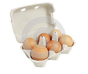 A carton pack of six brown chicken eggs isolated on white background