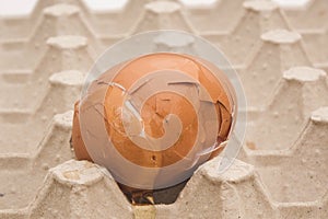 Carton packaging for eggs with broken eggshell on a light background