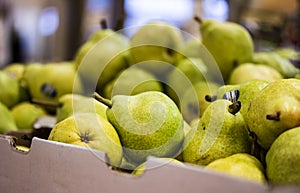 Carton of pears ready for market