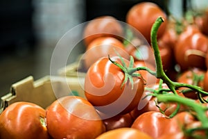 Carton of red ripe  medium-sized tomatoes at market
