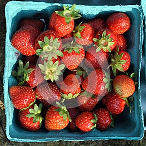 Carton of Strawberries