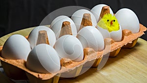 In a carton are ten eggs. A small chick hatched from one egg. The concept is the birth of a new life