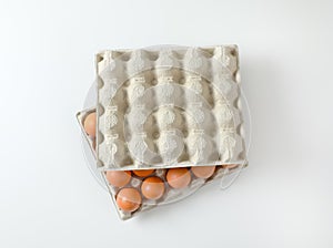 Carton of twenty fresh eggs
