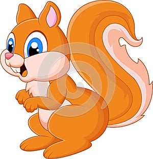 Cartoon adorable squirrel photo