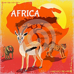 Cartoon African Fauna Template