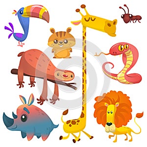 Cartoon african jungle animals. Vector illustrations of toucan, sloth, giraffe, chipmunk, ant, rhino and lion