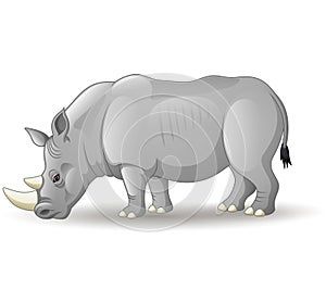 Cartoon African rhinoceros isolated on white background