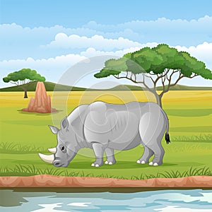 Cartoon African rhinoceros in the Savannah