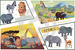 Cartoon African Safari Concept