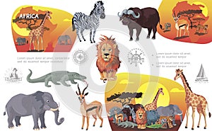 Cartoon African Savannah Animals Composition