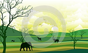 Cartoon African Savannah Card Poster Landscape Background Tourism and Travel Elements Nature Scene Concept Flat Design.