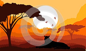 Cartoon African Savannah Card Poster Landscape Background Tourism and Travel Elements Nature Scene Concept Flat Design