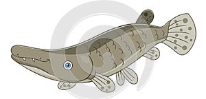 Cartoon alligator gar