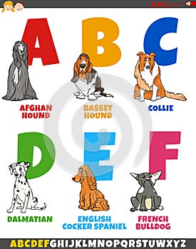 Cartoon alphabet collection with purebred dogs